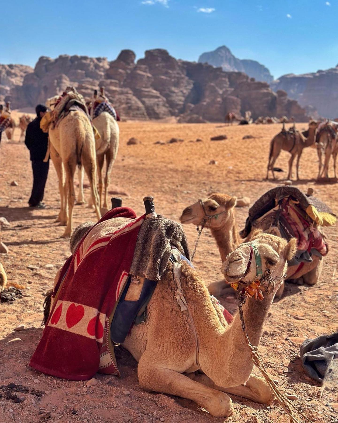 Daniela Camp Ram Vadisi Dış mekan fotoğraf